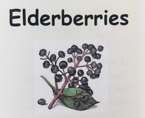 Elderberries Group